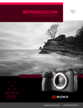 Curso de Fotografía Digital para Principiantes - Emotive Studio